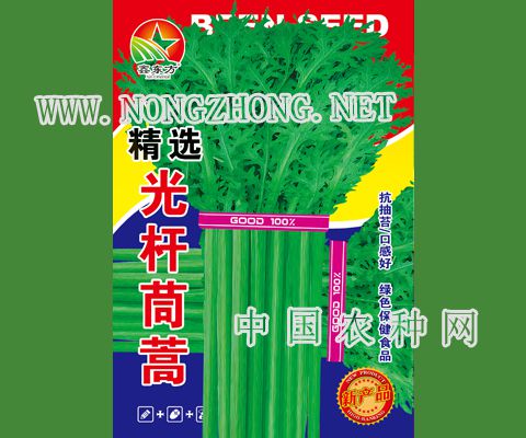 精选光杆茼蒿